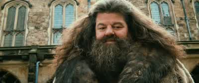Cornelius Fudge, Minister of Magic. - Harry Potter and the Chamber of Secrets