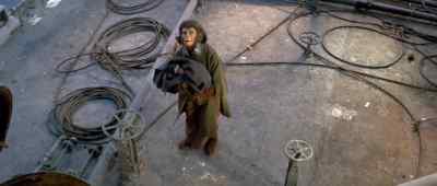 Cornelius? - Escape from the Planet of the Apes