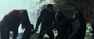 Cornelius... - War for the Planet of the Apes