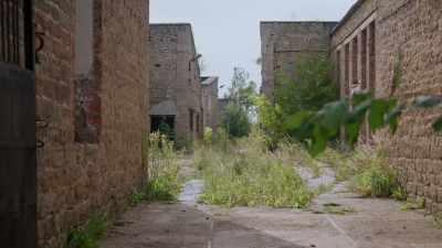 Corpses were being carried
all over the streets. - Mysteries of the Abandoned