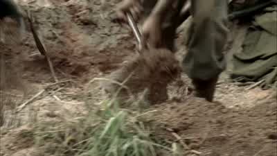 Corrigan, stone, get over here. - The Pacific