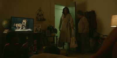 Cory, Mark, say hello
to your cousin Jessica. - Pearson