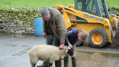 Cos he'll do that
when you're there, - Our Yorkshire Farm