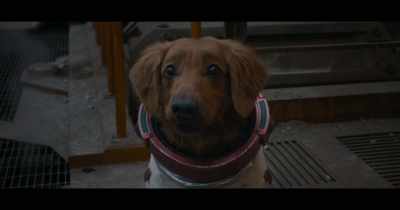 COSMO: Da. - Guardians of the Galaxy Vol. 3
