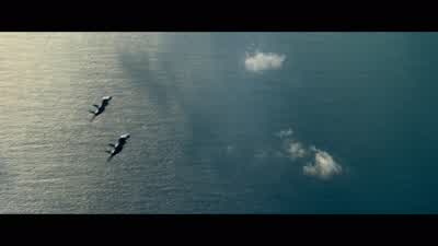 Cougar: Mustang. - Top Gun