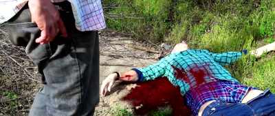 (cougar snarling) - Cocaine Cougar