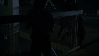 - Hey, you made it out! - Teen Wolf