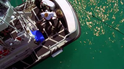 Could be a million dollars' worth of gold. - CSI: Miami