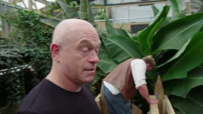 Could console its owner, - Britain's Tiger Kings - On the Trail with Ross Kemp
