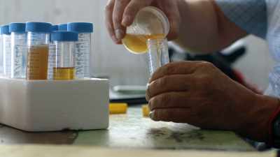 Could you imagine, the best laboratory
will be puzzled with your piss? - Icarus