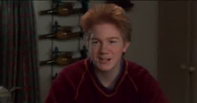Could you pass me the false alarmsSorry I meant the peas - Home Alone 3