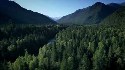 Could this superhuman race
one day reappear in these lands? - The Alaska Triangle