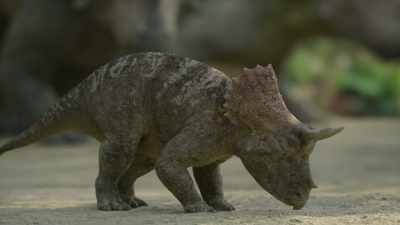 Could the same apply to
the Triceratops' frill? - Prehistoric Planet