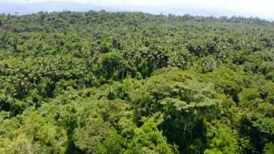 COULD THEY DO THE SAME
IN THE HOSTILE JUNGLE? - Lost Cities of the Amazon