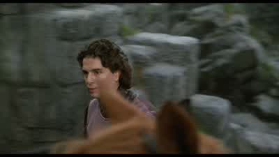 Could this be a trapI always think everything could be a trapwhich is why I'm still alive - The Princess Bride