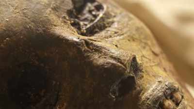 Could this, not the curse, - Tutankhamun: Secrets of the Tomb