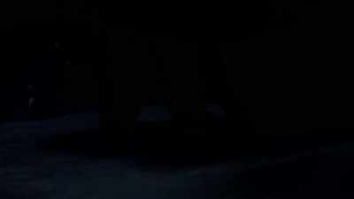 COULD THIS WOMAN
IN THE CHEVY NOVA - Bloodlands