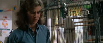 Oh shit Tweety couldn't you have waited for a school day - Poltergeist