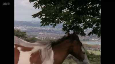 Country life is so,
so different to city life. - Once Upon a Time in Northern Ireland