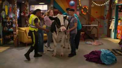 [cow moos] - Side Hustle