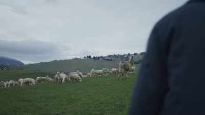-(cowbell ringing)
-So you like nature. - We Are Who We Are