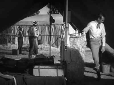 Cowboy, - The Cowboy and the Lady