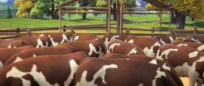 - (COWS BELLOWING)
- (CORA GROANING, GRUNTING) - Spirit Untamed