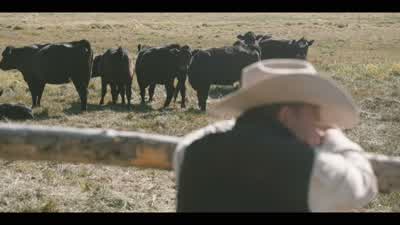 The things we lose to keep you fed. - Yellowstone