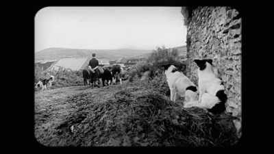 [cows mooing] - Crock of Gold: A Few Rounds with Shane MacGowan
