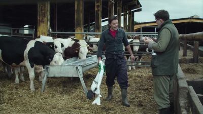 [cows mooing] - Vera