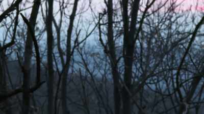 Cox: TOWARD THE BACK SIDE
OF THE MOUNTAIN, - Bloodlands