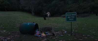 Coyotes are blessed creatures. - Under the Silver Lake