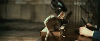 Crabbe and Goyle must know.Maybe we could trick them into telling. - Harry Potter and the Chamber of Secrets
