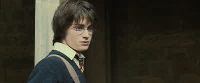 CRABBE: There's Potter. - Harry Potter and the Goblet of Fire