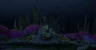 - [Crabs] Me, me, me, me. - Dolphin Boy