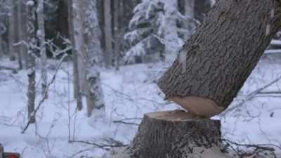 [cracking] - Life Below Zero: Next Generation