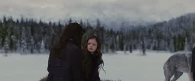 - - Blind them. - The Twilight Saga: Breaking Dawn   Part 2