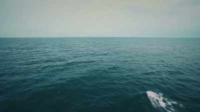 CRAFT: Did the vessel
meet with another vessel - Drug Lords: The Next Generation