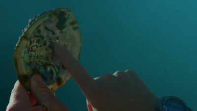 CRAIG: When you find that really
small, tiny, little, oval hole, - Blue Planet II