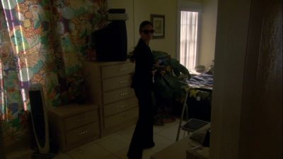 [ Crash ]
[ Buckwild ]
Hey, man! - Burn Notice