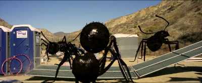 [crash] - Dead Ant
