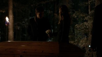 Cream violets. - The Vampire Diaries