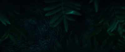 (creature 1 howling in distance) - The Animal Kingdom