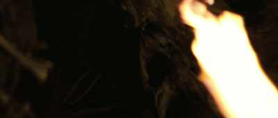 [Creature groans] - Arcadian