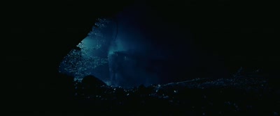 -[creature growling]
-[gunshots] - Wolf Garden