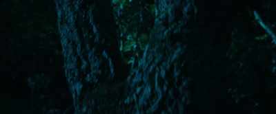 (creature howling in distance) - The Animal Kingdom