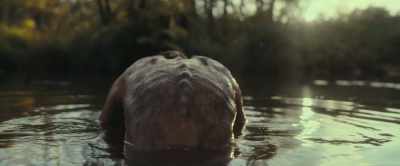 (creature howling in distance) - The Animal Kingdom