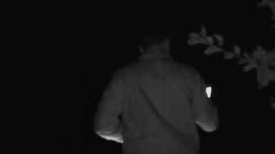 -[creature
mimicking whistling]
-[bleep] - Expedition Bigfoot