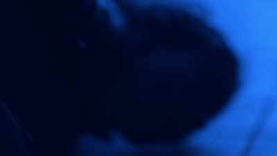 [creature shrieks] - Dead Zone