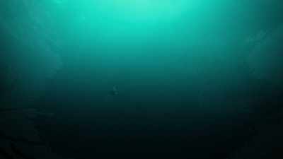 [ Creatures calling ]
♪♪ - Attenborough and the Sea Dragon